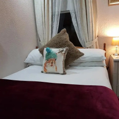 Rock Dene Hotel - Guest House 3* Номер категории Эконом с различными типами кроватей фото 3