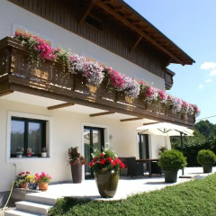 Отель Pension Bergfried Грёдиг фото 2
