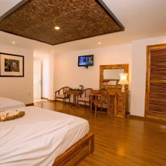 Rex Hotel and Apartment 3* Номер Делюкс с различными типами кроватей фото 12
