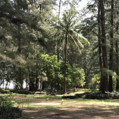 Отель Coconut Bungalow фото 9
