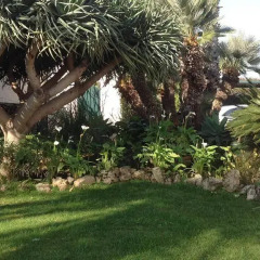 Отель B&B La Pomelia Агридженто