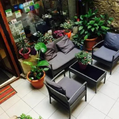 Отель Nest Hostel Tbilisi Грузия, Тбилиси - отзывы, цены и фото номеров - забронировать отель Nest Hostel Tbilisi онлайн