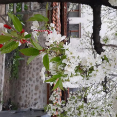 Отель Todeva House