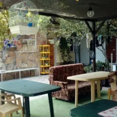 Гостиница Guest house na Pionerskom в Анапе отзывы, цены и фото номеров - забронировать гостиницу Guest house na Pionerskom онлайн Анапа детские мероприятия фото 2