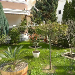 Garni Hotel Mena Будва фото 8