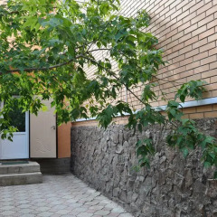 Гостиница B&B Sargul street Казахстан, Нур-Султан - отзывы, цены и фото номеров - забронировать гостиницу B&B Sargul street онлайн