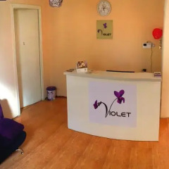 Отель Violet Hostel Грузия, Тбилиси - 1 отзыв об отеле, цены и фото номеров - забронировать отель Violet Hostel онлайн спа