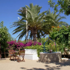 Отель Agroturismo Sa Vinya d'en Palerm фото 9