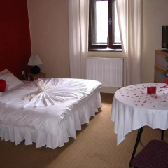 Hotel Oldrichuv Dub Стандартный номер с различными типами кроватей фото 3