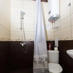 Мини-Отель Петрозаводск 2* Стандартный номер с различными типами кроватей фото 29