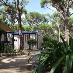 Отель Camping Bella Terra Испания, Бланес - отзывы, цены и фото номеров - забронировать отель Camping Bella Terra онлайн фото 3