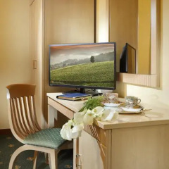 Grand Hotel Plaza & Locanda Maggiore 4* Стандартный номер с различными типами кроватей фото 7