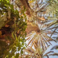 Отель Riad Soleil du Monde Марокко, Загора - отзывы, цены и фото номеров - забронировать отель Riad Soleil du Monde онлайн фото 5
