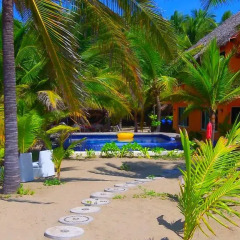 Отель Bungalows Tree Tops 5* Люкс с различными типами кроватей фото 15