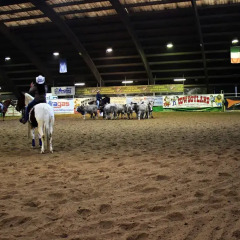 Отель Cowboys Guest Ranch Вогера спортивное сооружение