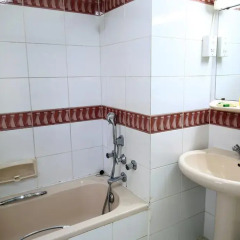 Отель Imperial Hotel Apartment ОАЭ, Дубай - отзывы, цены и фото номеров - забронировать отель Imperial Hotel Apartment онлайн ванная