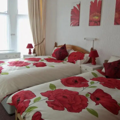 Ardsley Hotel 3* Стандартный номер с различными типами кроватей фото 2