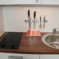 Отель Vienna's Place Apartment Karlsplatz Австрия, Вена - отзывы, цены и фото номеров - забронировать отель Vienna's Place Apartment Karlsplatz онлайн в номере фото 2