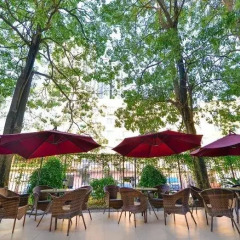 Отель Xiamen New Forestry Hotel Китай, Сямынь - отзывы, цены и фото номеров - забронировать отель Xiamen New Forestry Hotel онлайн питание
