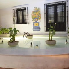 Отель Alpujarras & Costa Tropical
