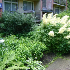 Отель Cozy Home