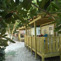 Отель Camping Village Costa Verde Потенца-Пичена гостиничный бар
