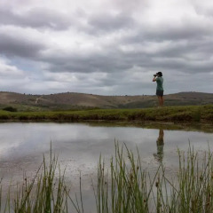 Отель Addo Elephant Lodge & Safaris