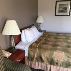 Отель Buena Vista Motor Inn 2* Стандартный номер с различными типами кроватей фото 3