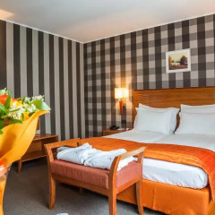 BEST WESTERN City Hotel, BW Premier Collection 4* Стандартный номер с двуспальной кроватью фото 3