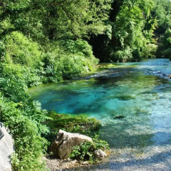 Отель Albanian Happines Guesthouse