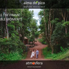 Отель Alma do Pico Португалия, Мадалена - отзывы, цены и фото номеров - забронировать отель Alma do Pico онлайн фото 2