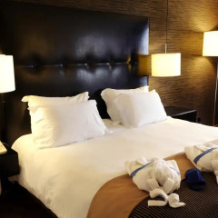 Radisson Blu Hotel с домашними животными