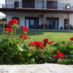 Отель Xalonia Seaview Ситония фото 6
