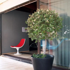 Despotiko Apt. Hotel & Suites 3* Полулюкс с различными типами кроватей фото 2