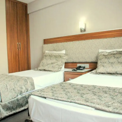 Hotel Buyuk Paris 3* Номер Делюкс с различными типами кроватей
