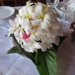 Отель De Vos - The Private Residence фото 2