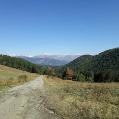 Отель Green Dilijan B&B Армения, Дилижан - отзывы, цены и фото номеров - забронировать отель Green Dilijan B&B онлайн фото 4