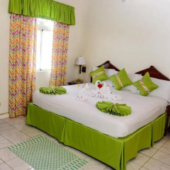 Отель Villa Sonate 3* Полулюкс с различными типами кроватей фото 5