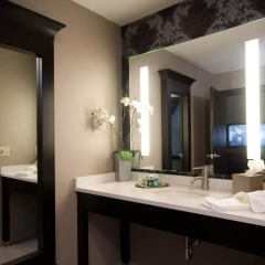 Отель The Giacomo, An Ascend Hotel Collection Member США, Ниагара-Фолс - отзывы, цены и фото номеров - забронировать отель The Giacomo, An Ascend Hotel Collection Member онлайн ванная