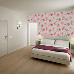 Rimini Suite Hotel 4* Стандартный номер с разными типами кроватей фото 3