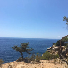 Отель AzuLine Club Cala Martina Ibiza - All Inclusive пляж фото 2
