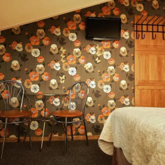 Отель Sleep In BnB 3* Стандартный номер фото 5