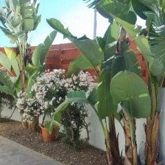 Отель Malama Seaview Villa 2