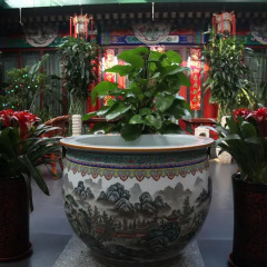 Palace Hotel Forbidden City фото 9