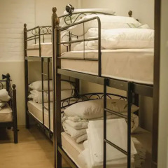 Hostel Cats детские мероприятия фото 2