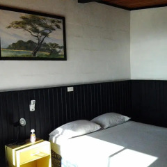 Отель Bamboo Backpackers Стандартный номер