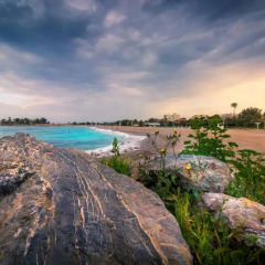 Hotel Palmyra Beach пляж