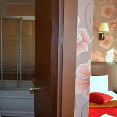 Ares Hotel 3* Стандартный номер с различными типами кроватей фото 4