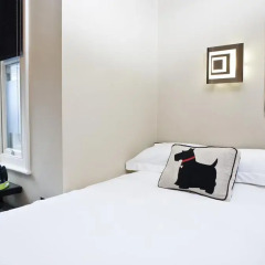 Отель Guest And The City 4* Стандартный номер с различными типами кроватей фото 3