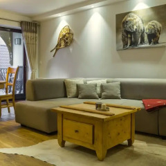 Отель Apartament Montagne Закопане развлечения